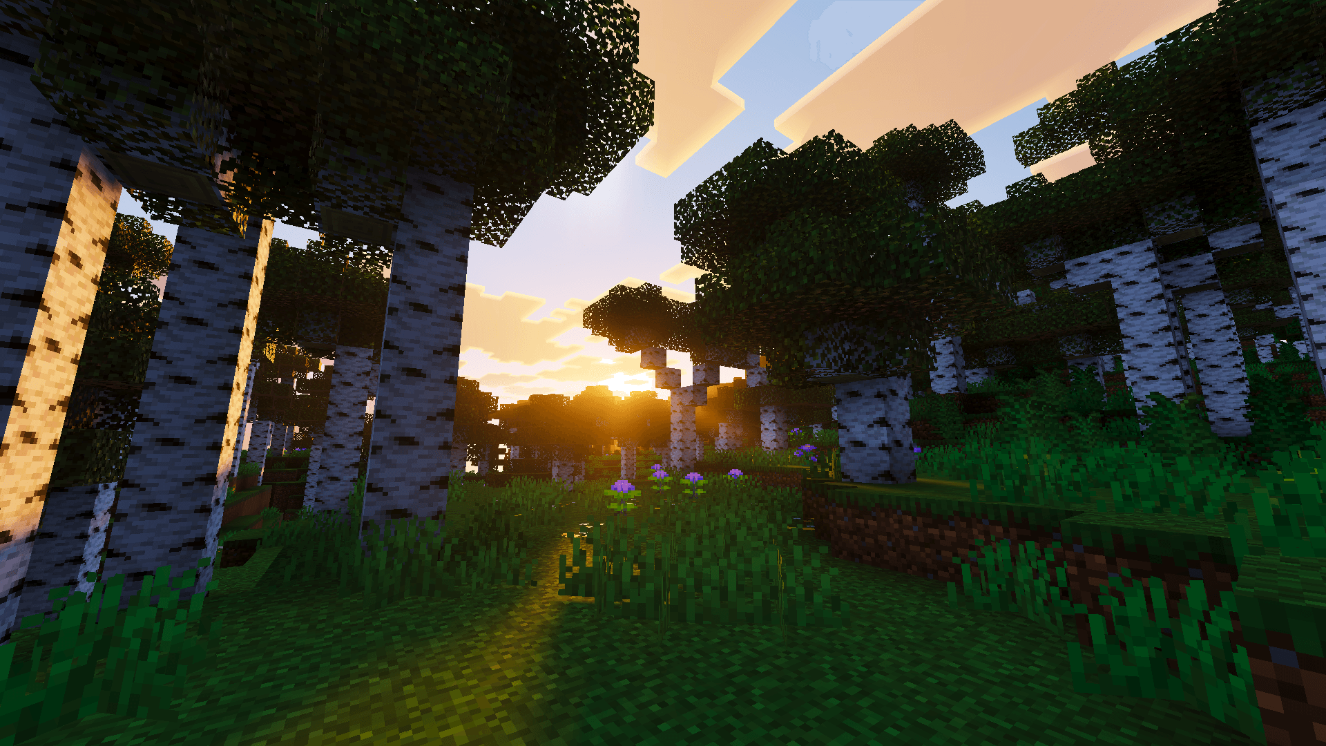 Velmora Visuals — screenshot 7