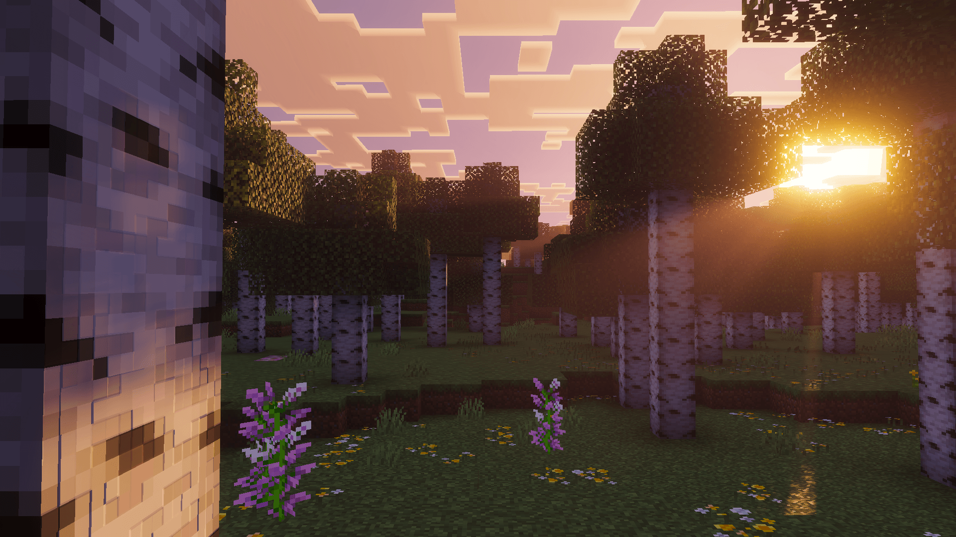 Cinematic Fog — screenshot 3