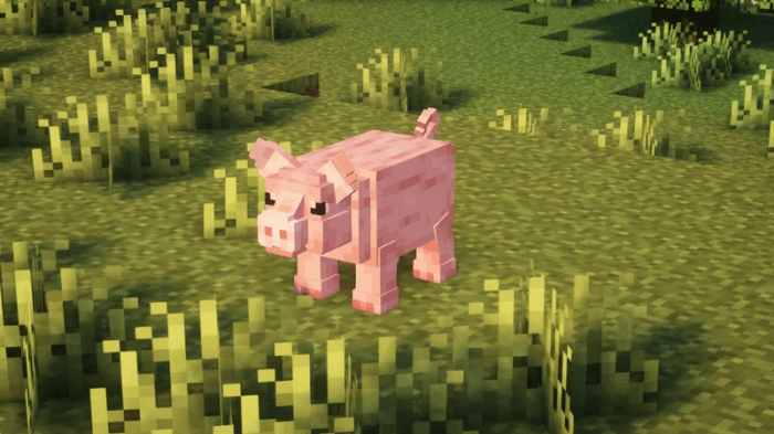 Cozy Critters — screenshot 4
