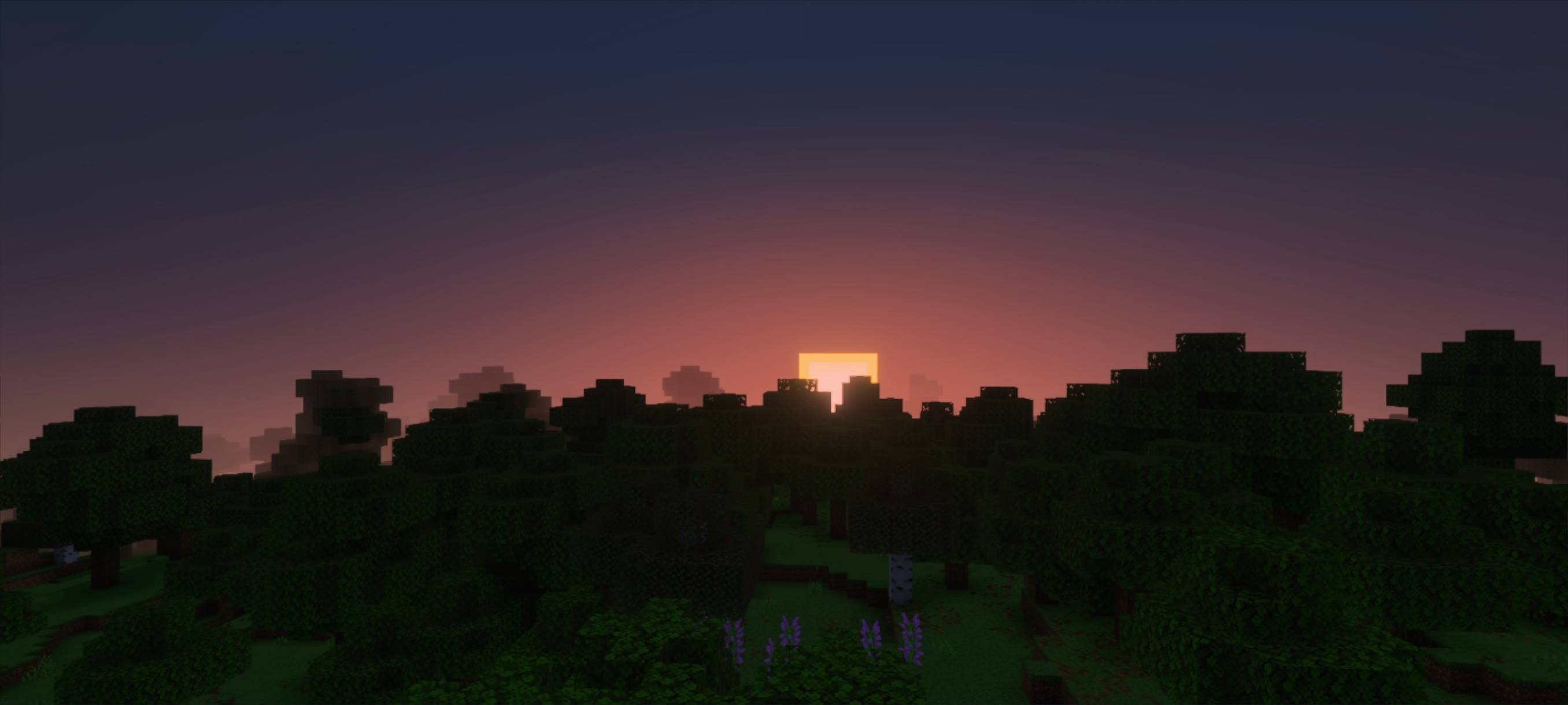 DYNAMIC VIEW — screenshot 2