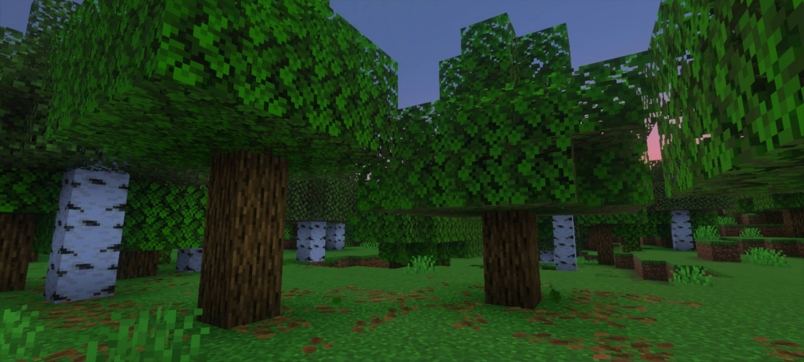 DYNAMIC VIEW — screenshot 5