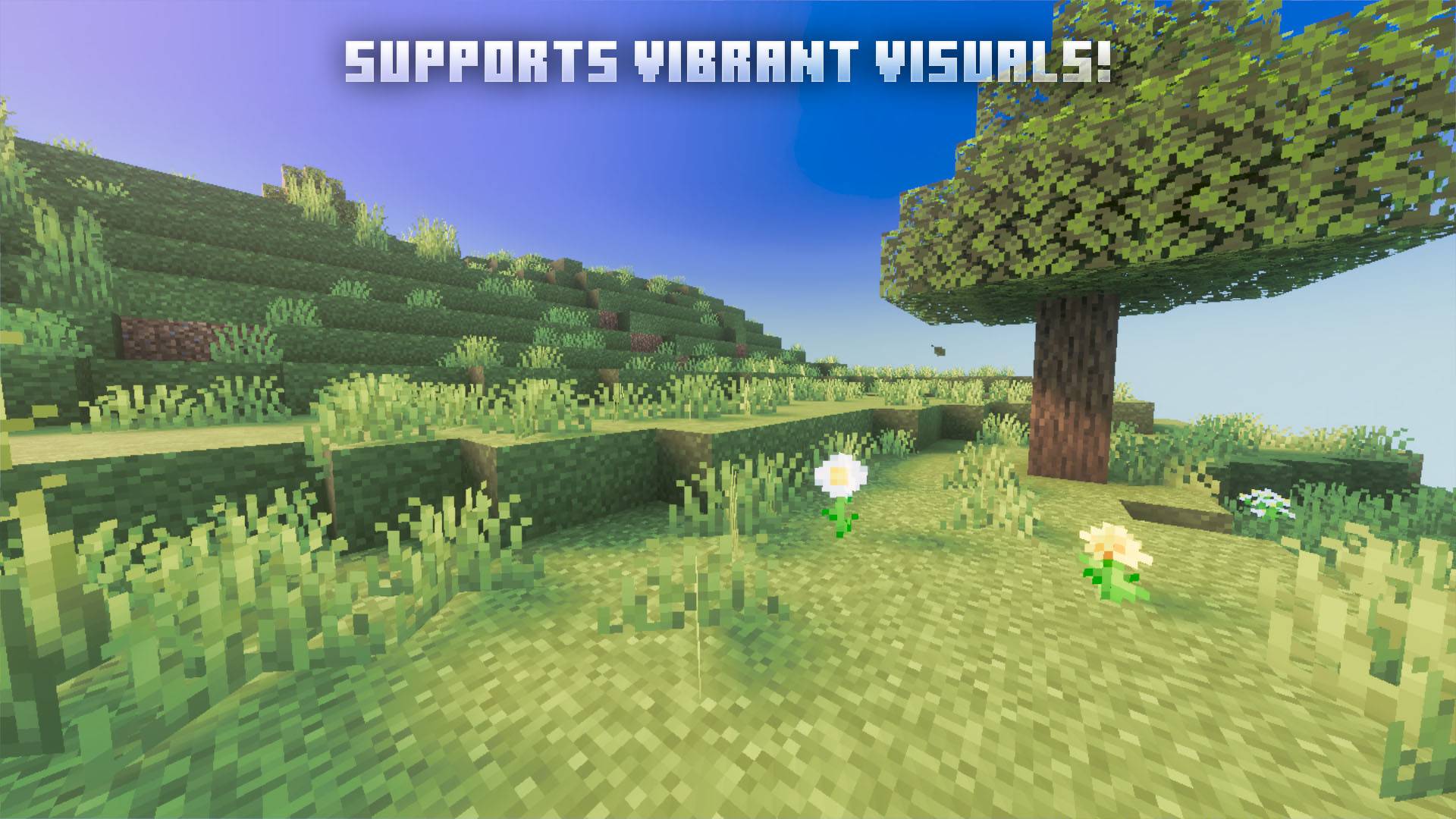 PandaMine's Enhanced Grass (Full Grass + Optifine Grass + Low Grass) — screenshot 2