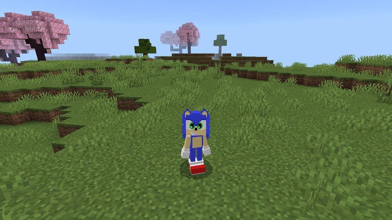 Sonic The Hedgehog 4d Skin — screenshot 1