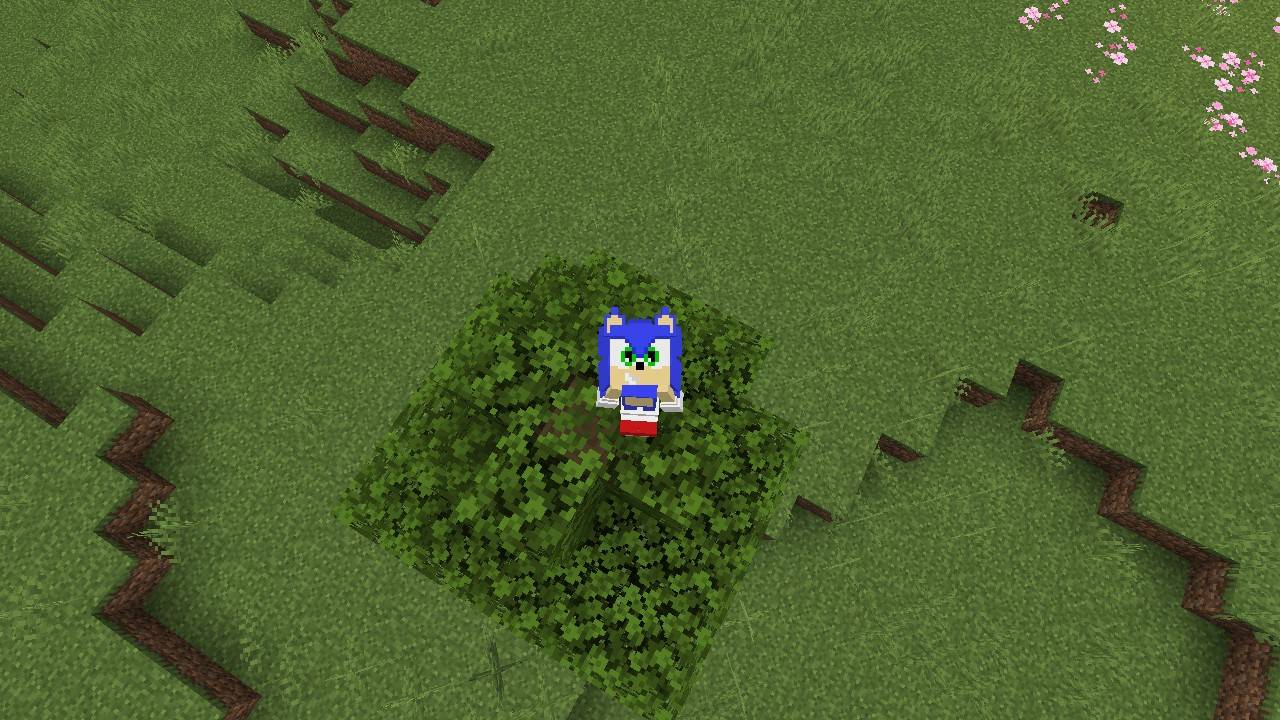 Sonic The Hedgehog 4d Skin — screenshot 3