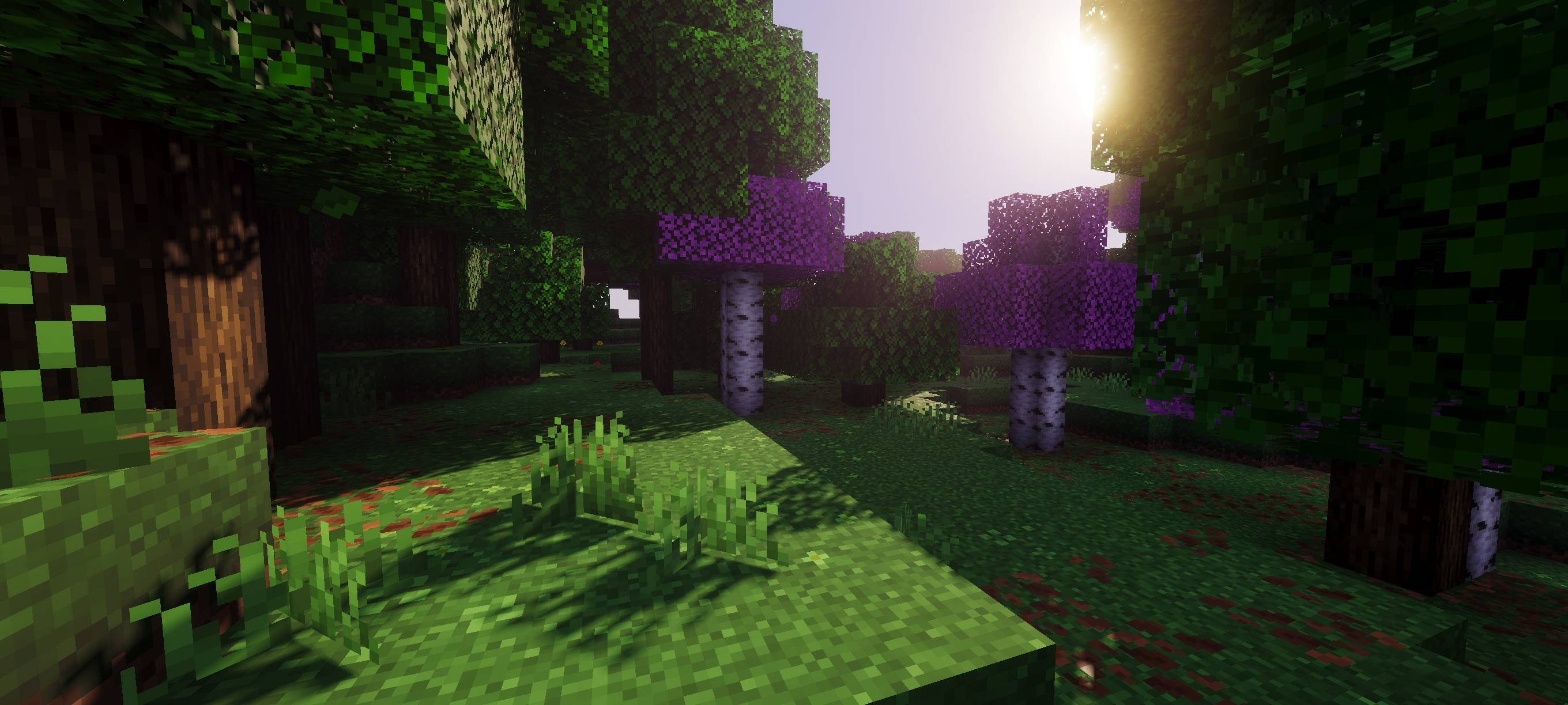 Slightly Enhanced+ — screenshot 2