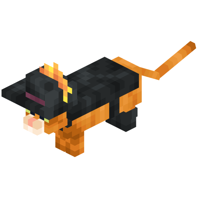 Meow Society