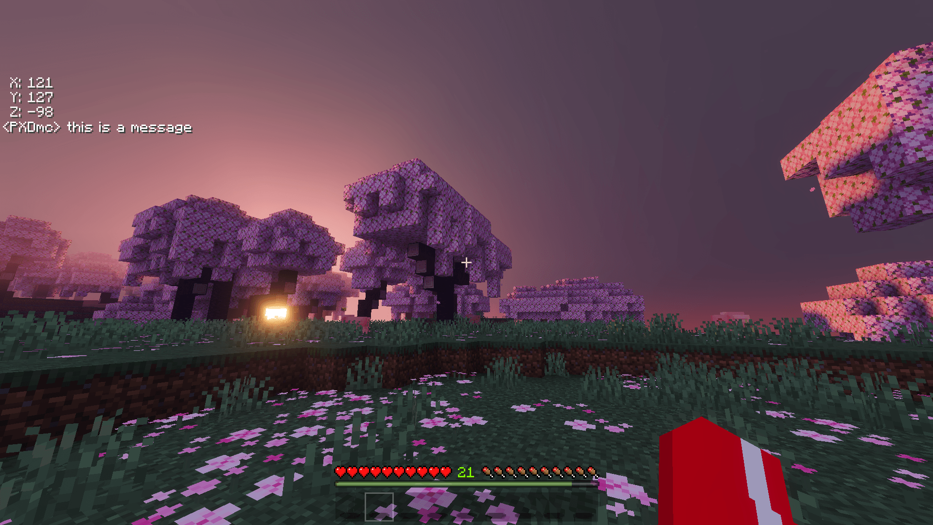Clean Hud — screenshot 5