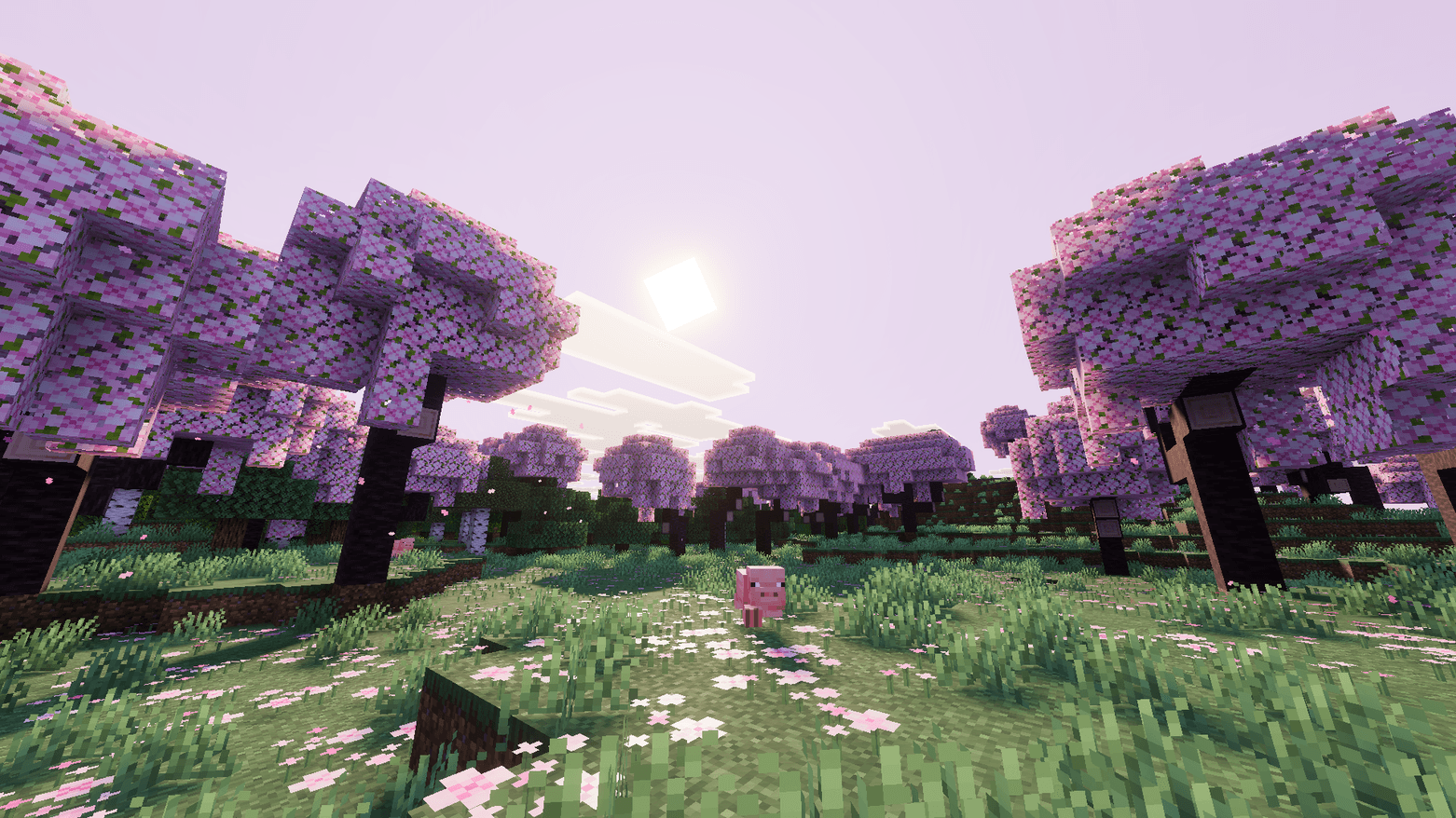 Serene Visuals — screenshot 8