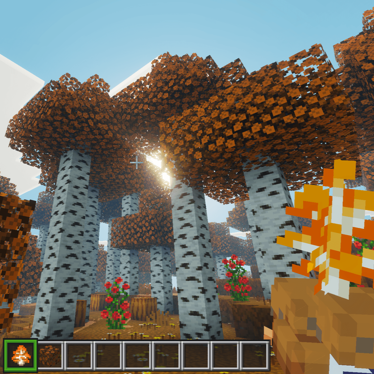 Orange Trees For A&S — screenshot 4