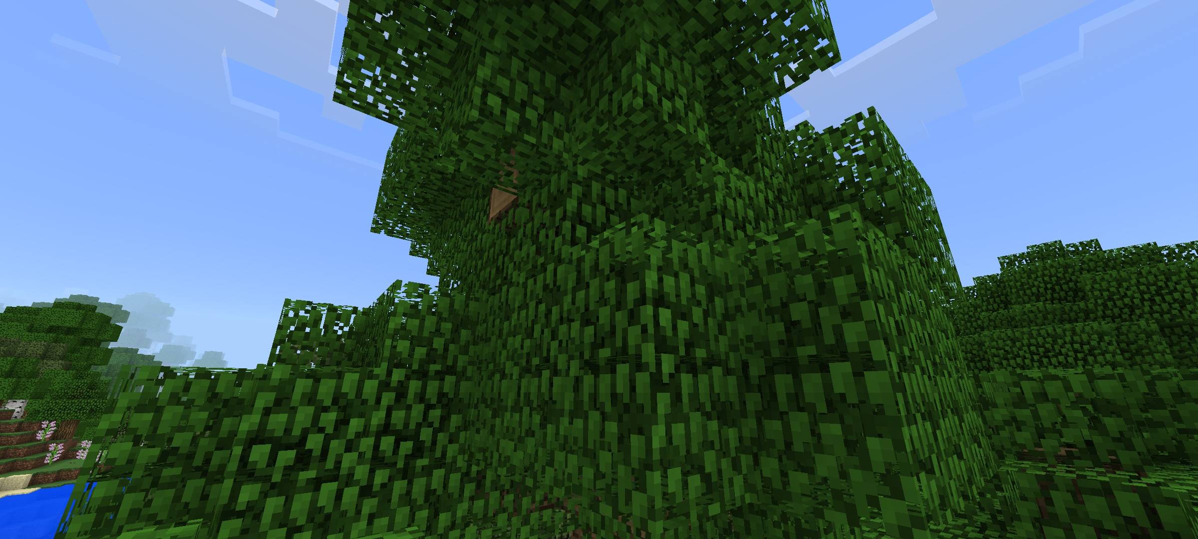 Vanilla Minecraft TP — screenshot 3