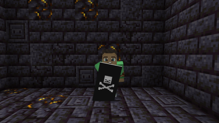 Custom Shields texture pack | 16 new shields! — screenshot 2