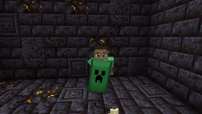 Custom Shields texture pack | 16 new shields! — screenshot 4