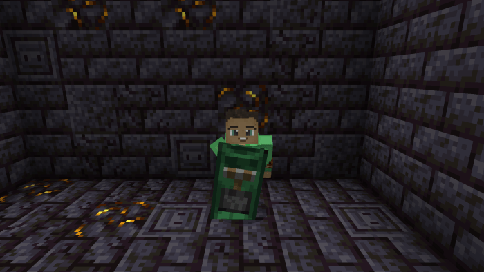 Custom Shields texture pack | 16 new shields! — screenshot 5