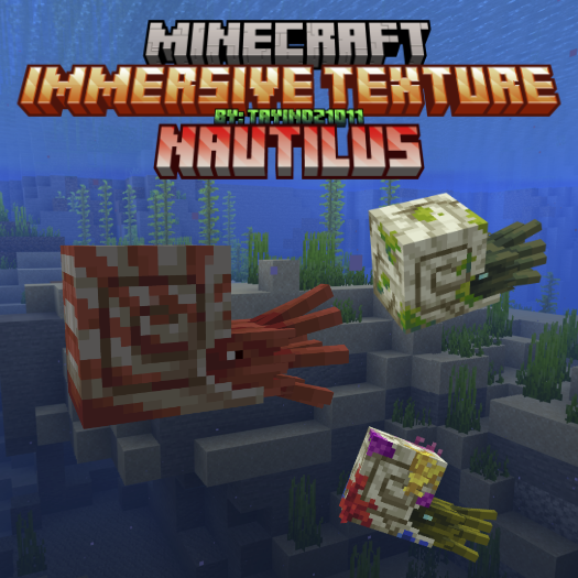 Immersive texture Nautilus