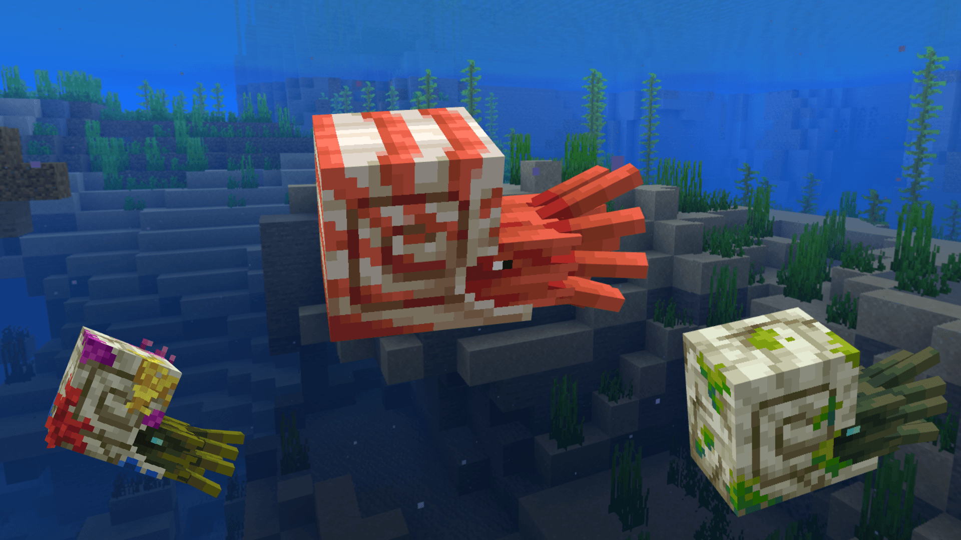 Immersive texture Nautilus — screenshot 2