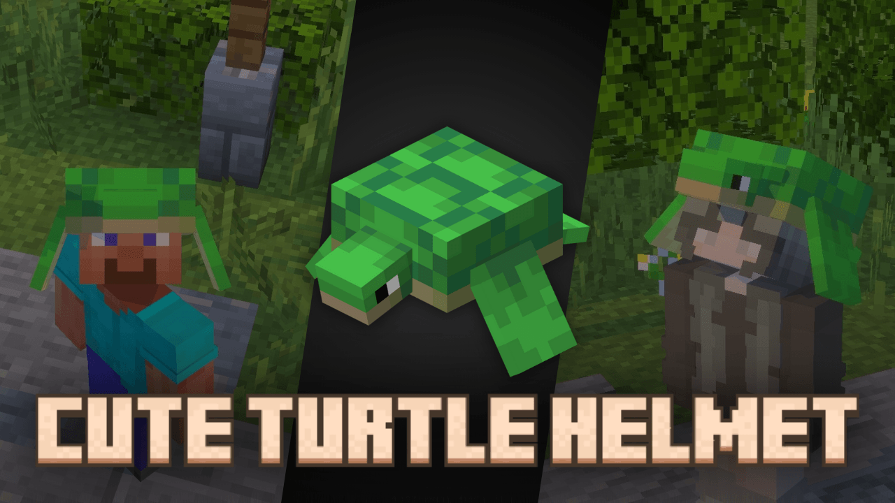 Cute Turtle Helmet V2 — screenshot 1