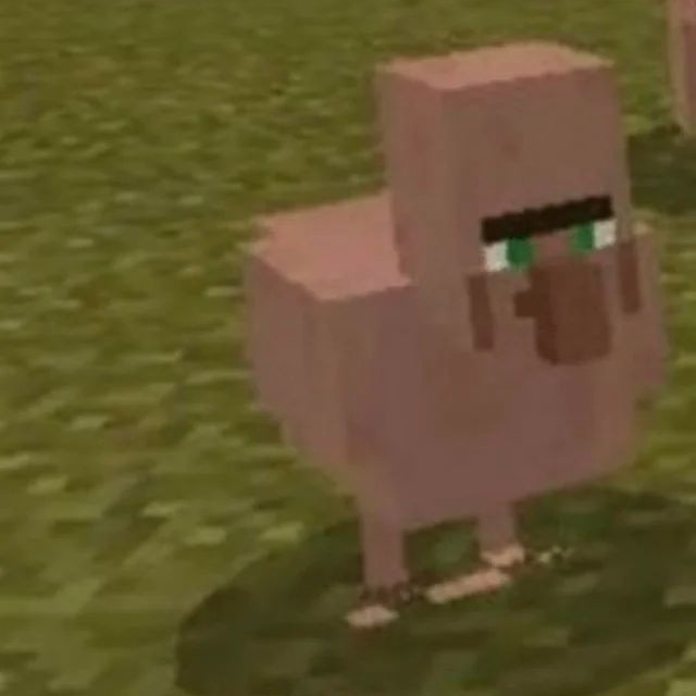 Villager chicken meme fun