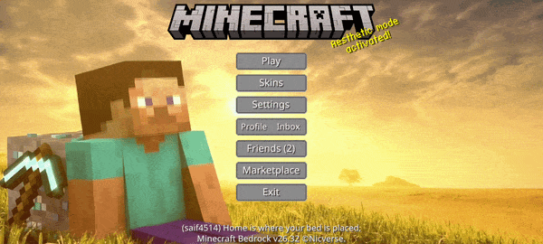 Animated Steve UI — screenshot 2