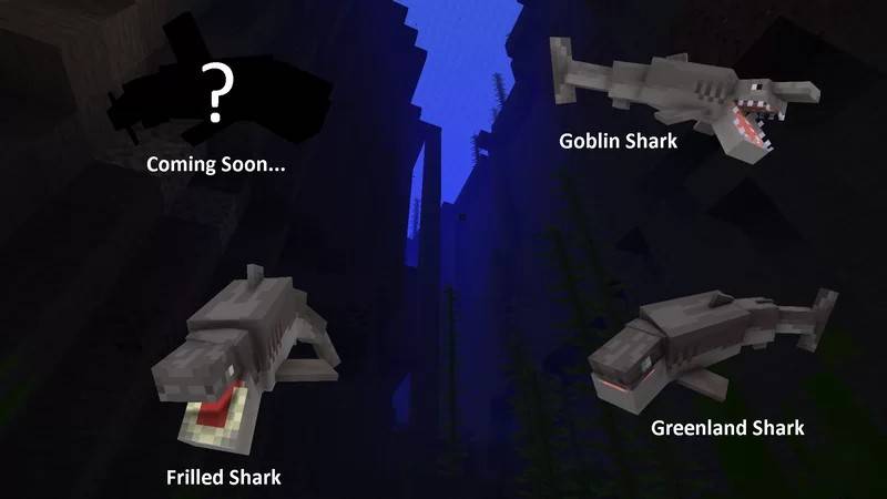 Sharks Plus — screenshot 2