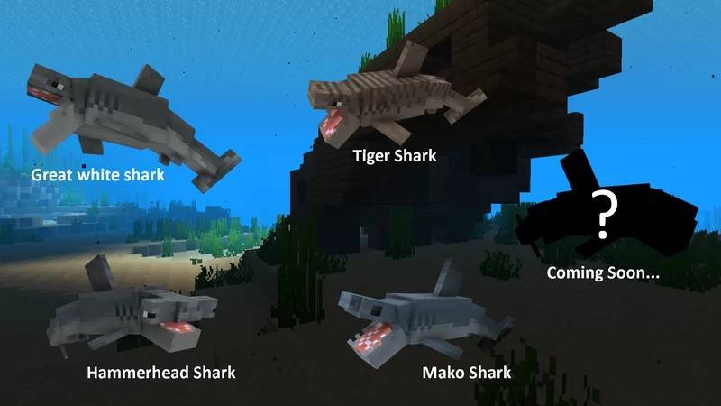 Sharks Plus — screenshot 3