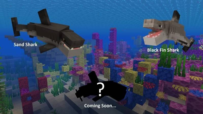 Sharks Plus — screenshot 4