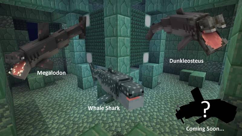 Sharks Plus — screenshot 6