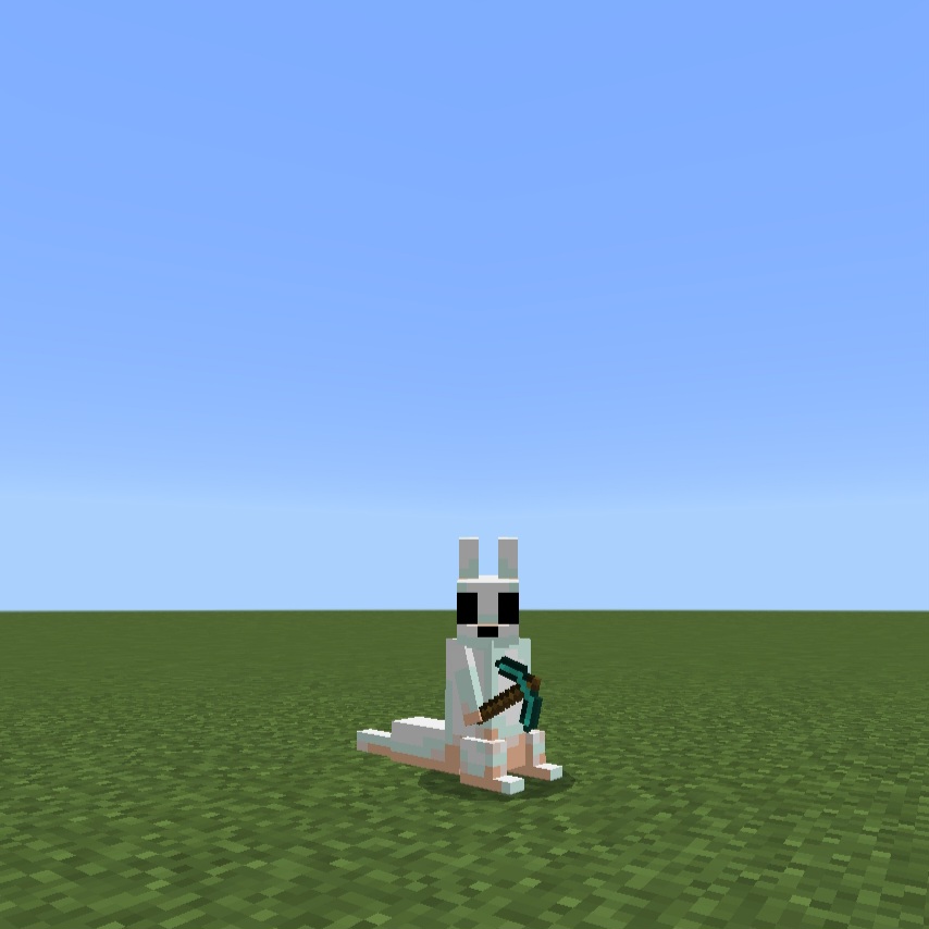 Custom player models