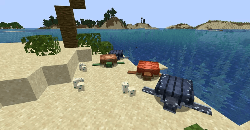 Better Turtle Variants — screenshot 5