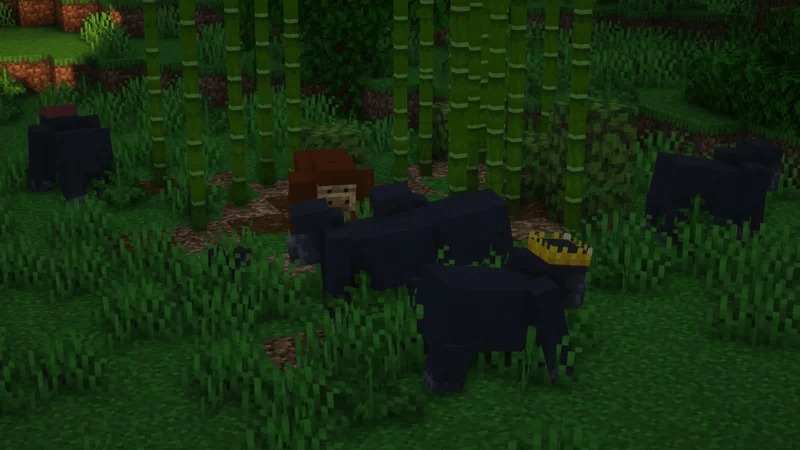 Gorillas — screenshot 8