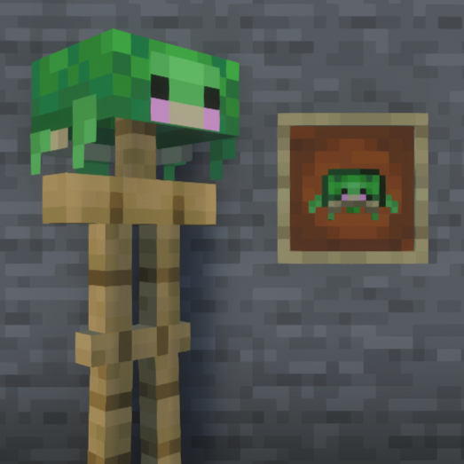 Cute Turtle Helmet Bedrock Port