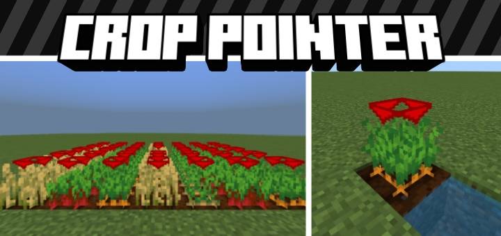 Crop Growth Pointer — screenshot 1