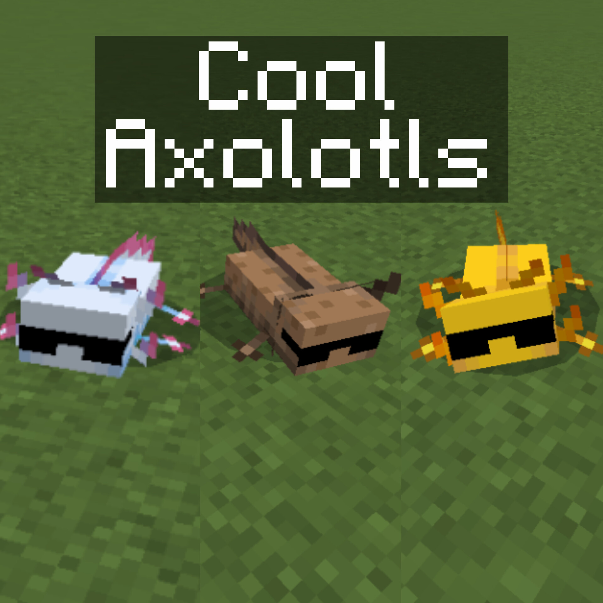 Cool Axolotls