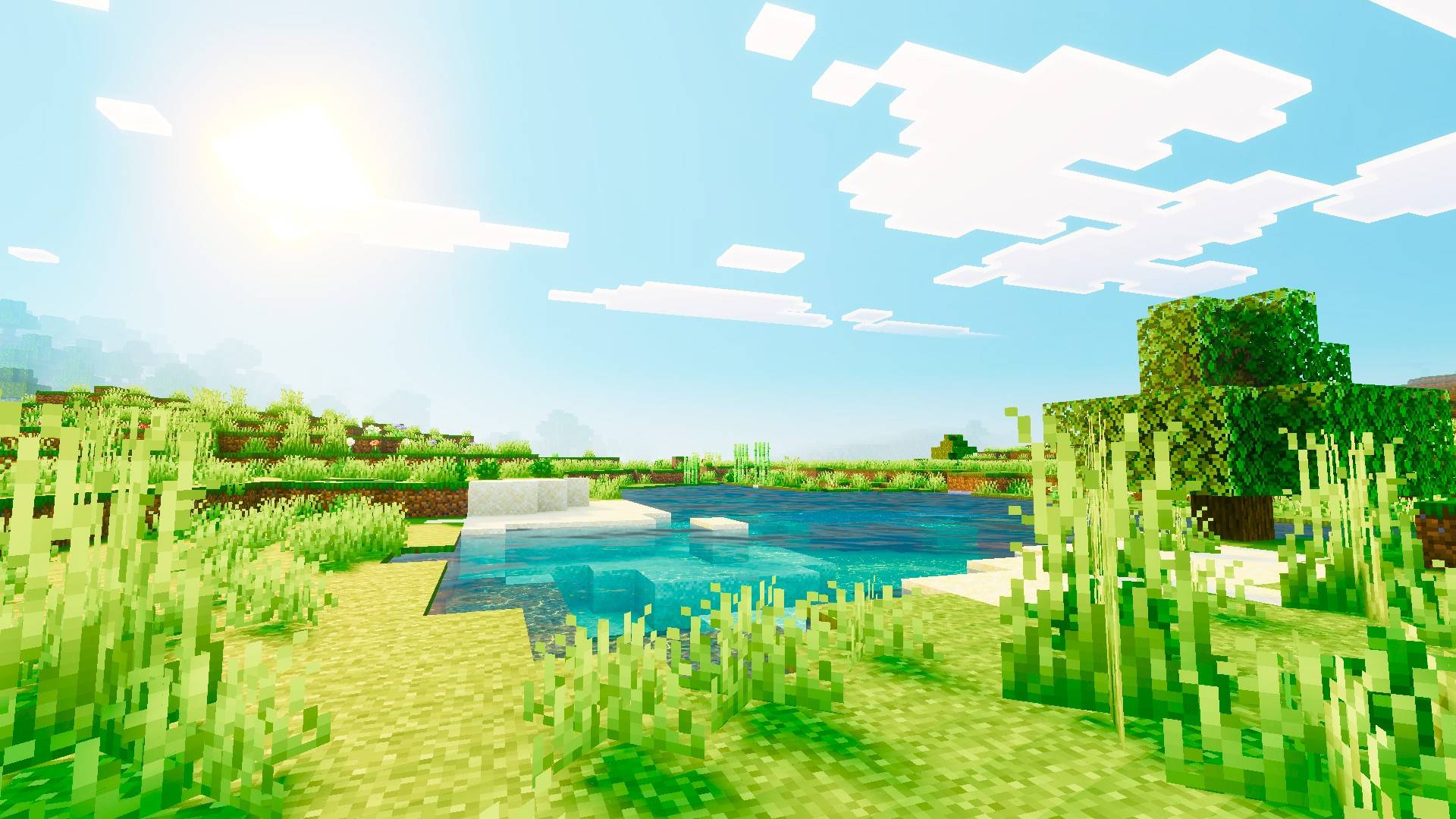 Mera Vibrant — screenshot 2