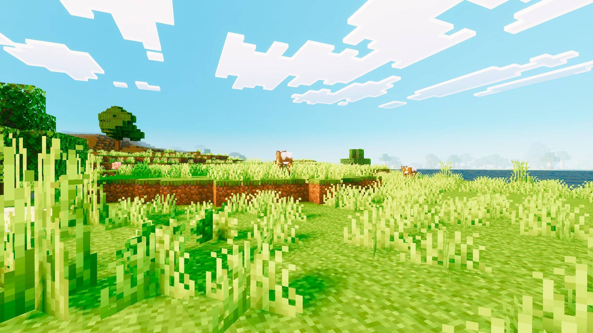Mera Vibrant — screenshot 3