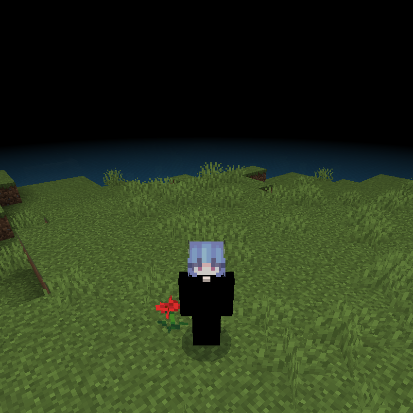 BlackSky Overlay