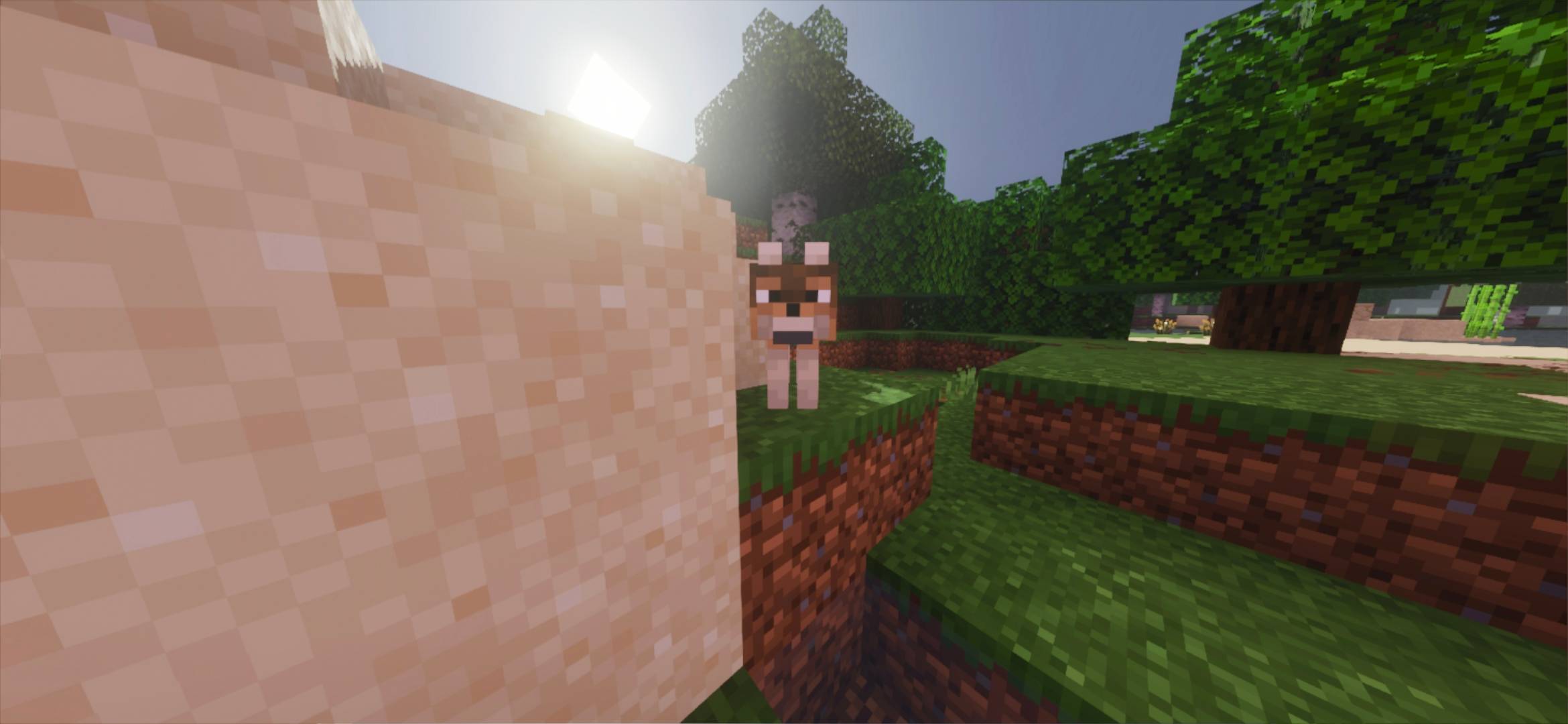 Visual plus shader — screenshot 3