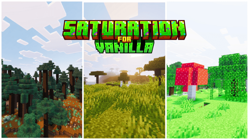 Saturation For Vanilla — screenshot 1