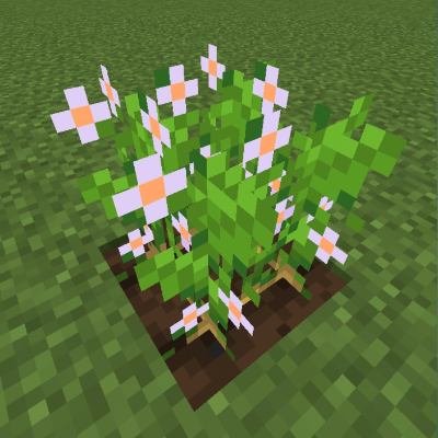 Fancy Crops