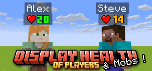 Display Player & Mob Health — screenshot 1