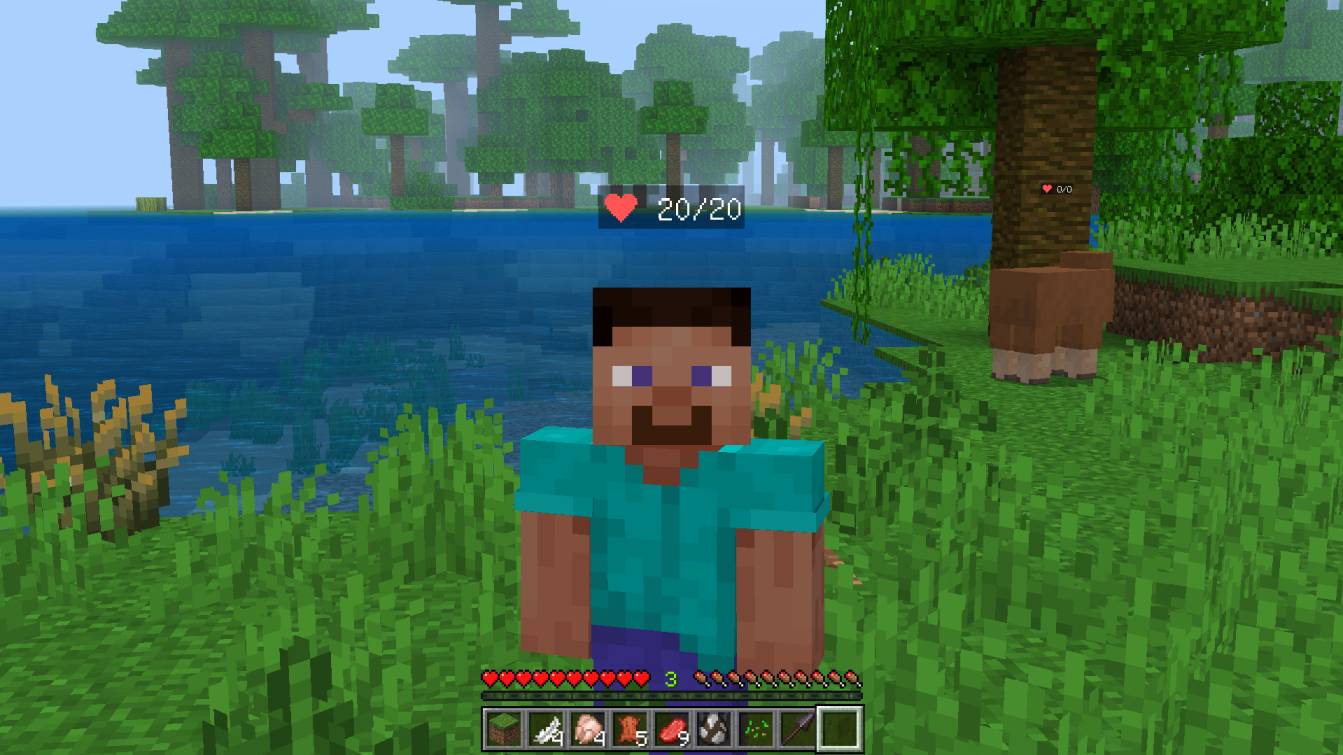 Display Player & Mob Health — screenshot 2