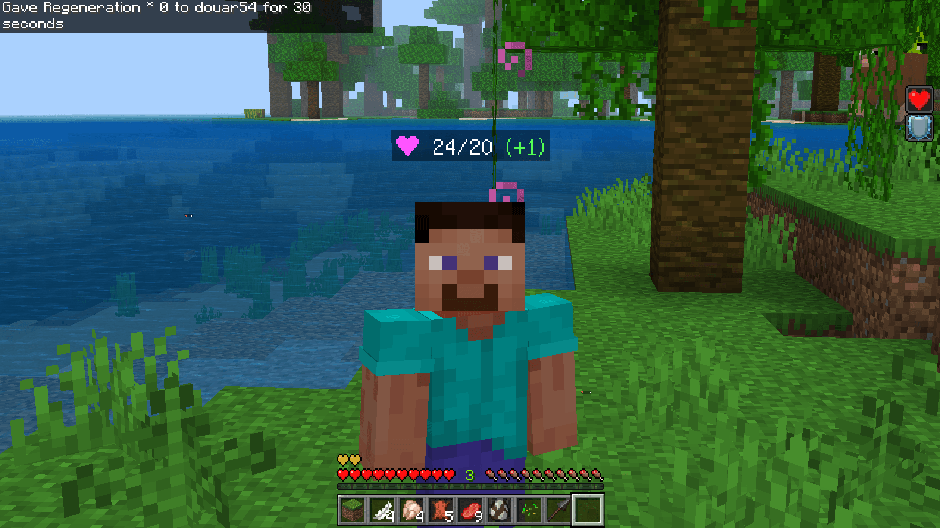 Display Player & Mob Health — screenshot 5