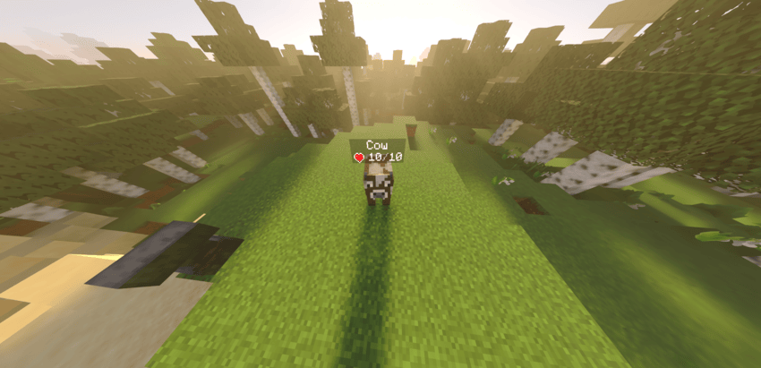 HD+ - Display Mob & Player Health! — screenshot 2