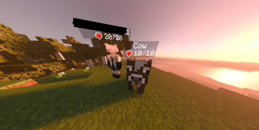 HD+ - Display Mob & Player Health! — screenshot 3
