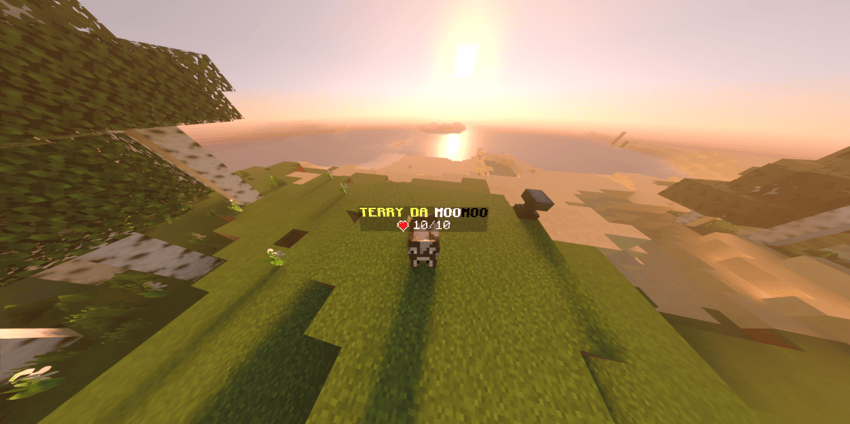 HD+ - Display Mob & Player Health! — screenshot 4