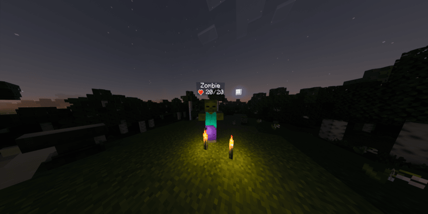 HD+ - Display Mob & Player Health! — screenshot 7