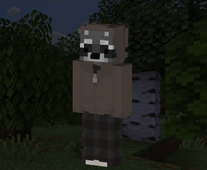 Raccoons Skin Pack v1 — screenshot 2