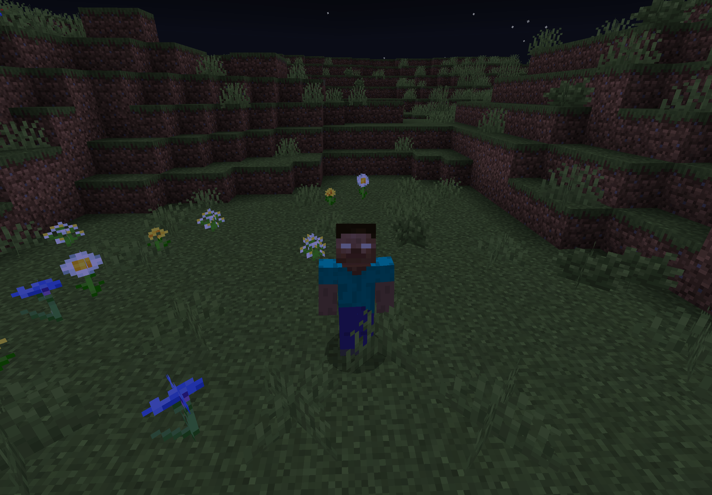 HEROBRINE — screenshot 1