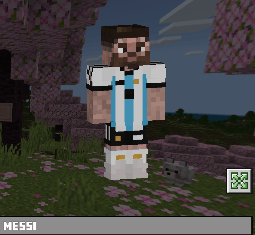 Messi Skin Pack — screenshot 2