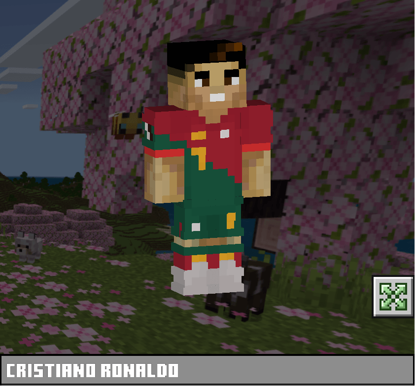 Cristiano Ronaldo Skin Pack — screenshot 2