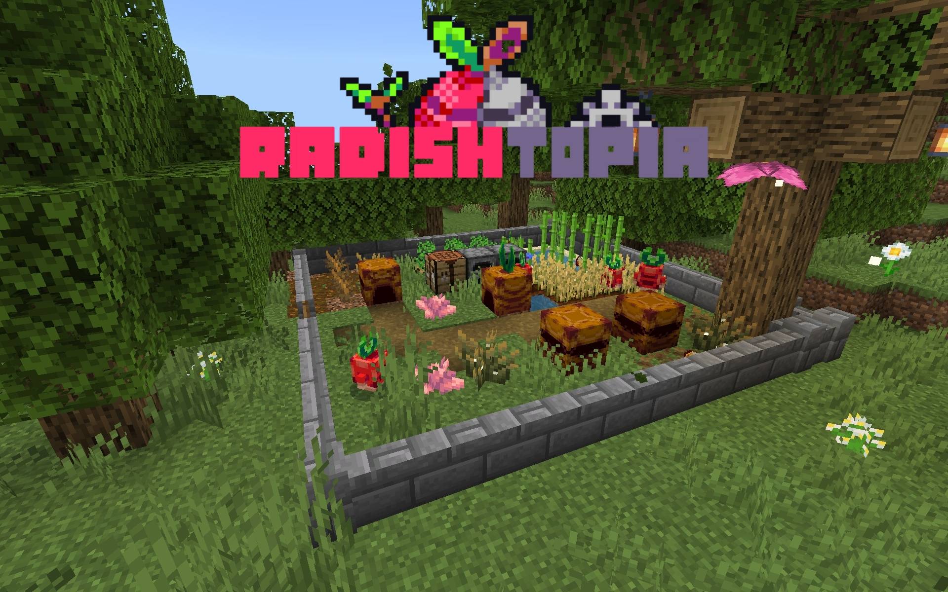 Radishtopia — screenshot 1